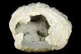 Fossil Clam with Fluorescent Calcite Crystals - Ruck's Pit, FL #177735-1